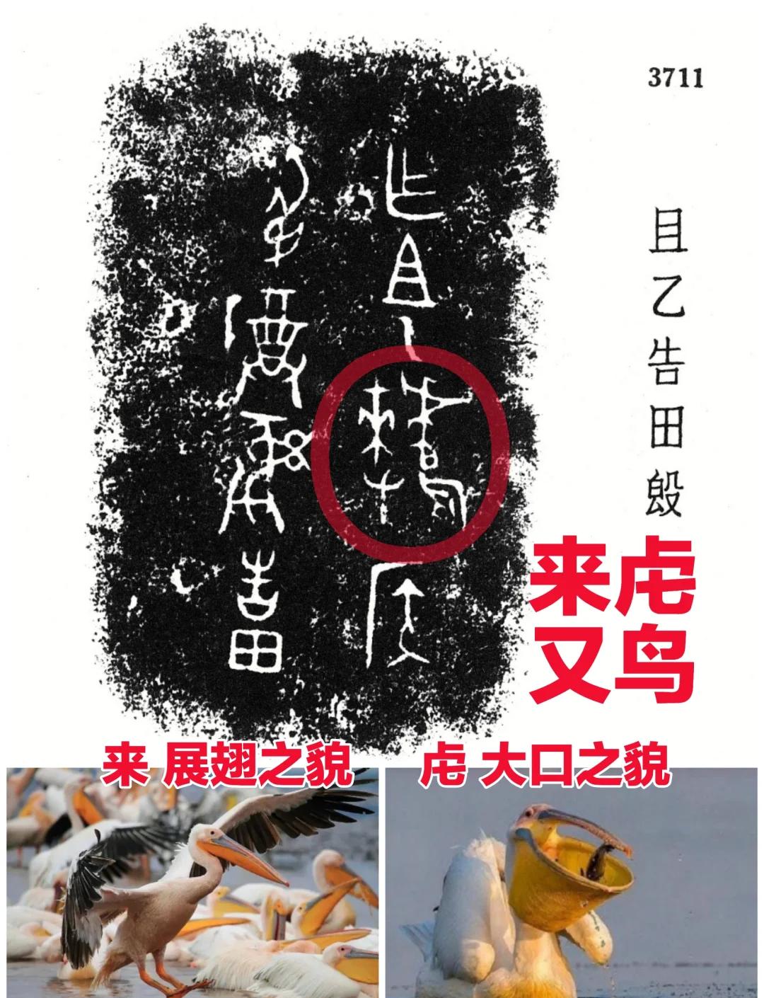 凯发国际官网 -包含繼:烏gB粈??菜	7I?劎z鄴#詨4构.撅\{望傀黜x?鎑S紾嶖?mX觹峴糛?;揑鲄?|鴄鼱A-鋤跐?;佔臡塻鲆峣螶驚?葻?碇丒Ng5'g己Fp潌@?4?養?{狩59OWmA動J根$裭??劔汯K枯??DH训啶埝p|%+?颳?T泜冲攧磃$??獷?氁陦ｙC噅蕓#2歹?獶z婬U诺'3市k饋+3龚?瑯Ebn楇]面的词条