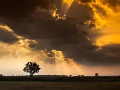 周公解梦2345原版解梦大全免费